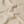 Nifous Top