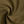 Nifous Top