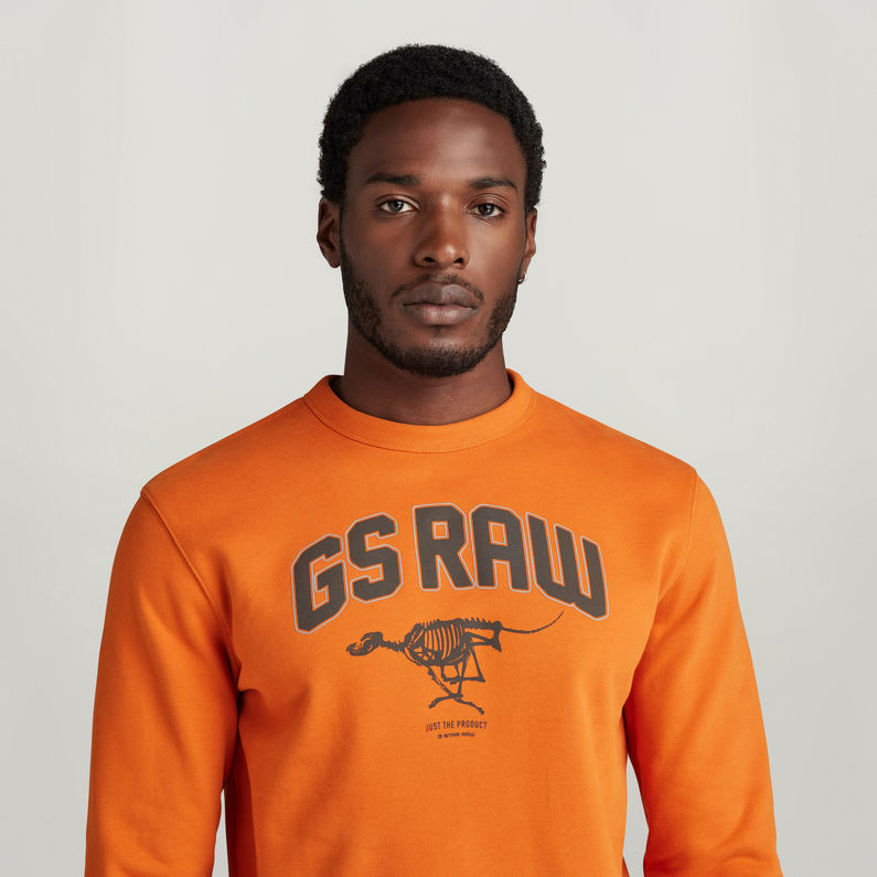 G-STAR Outlet Skeleton Dog Graphic Sweater Orange