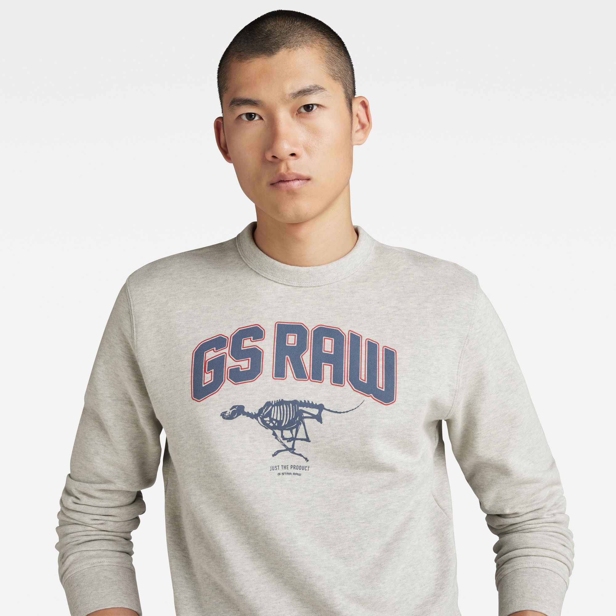 G-Star RAW Skeleton Dog Graphic Sweater Meerkleurig Heren