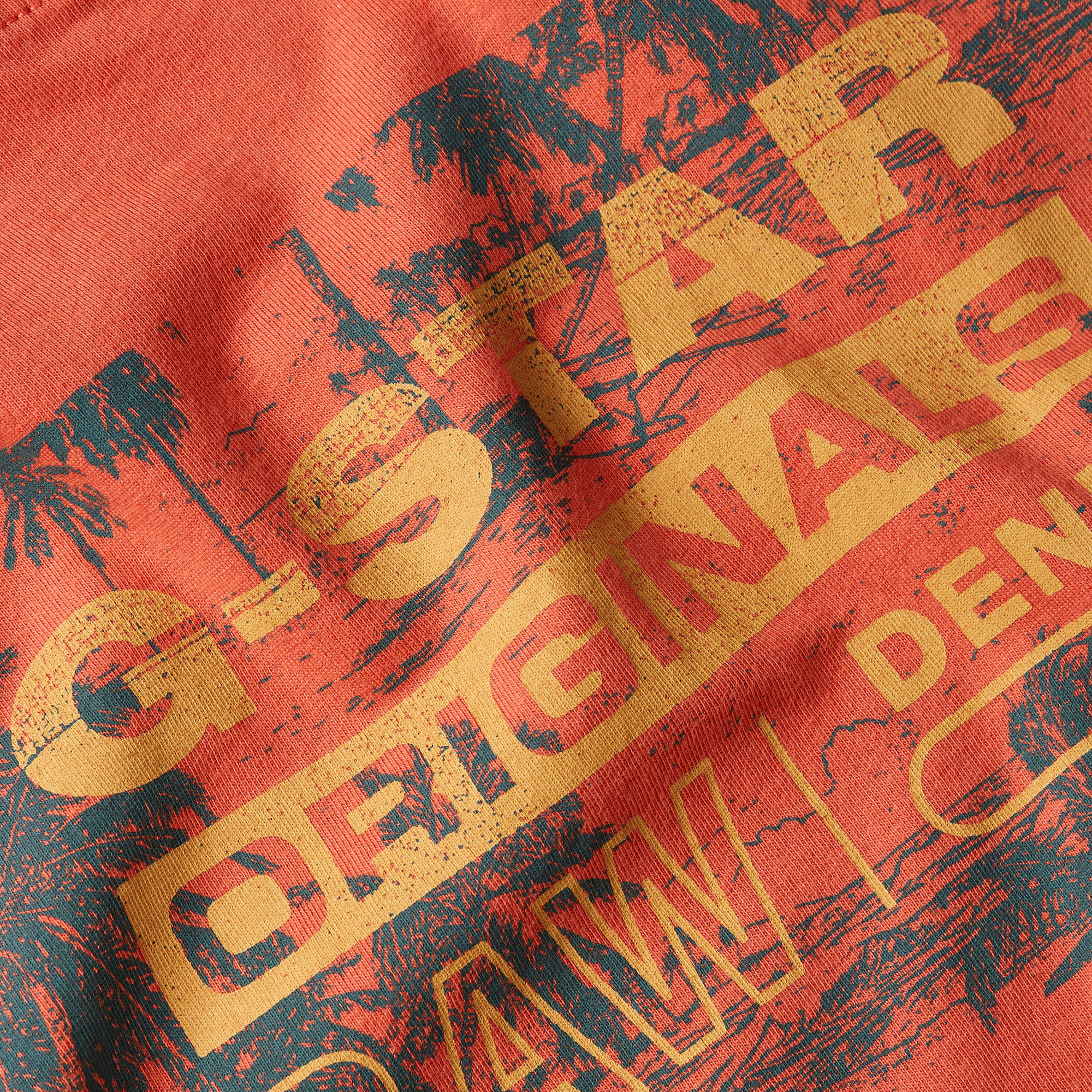 G-Star RAW Framed Palm Originals T-Shirt Rood Heren