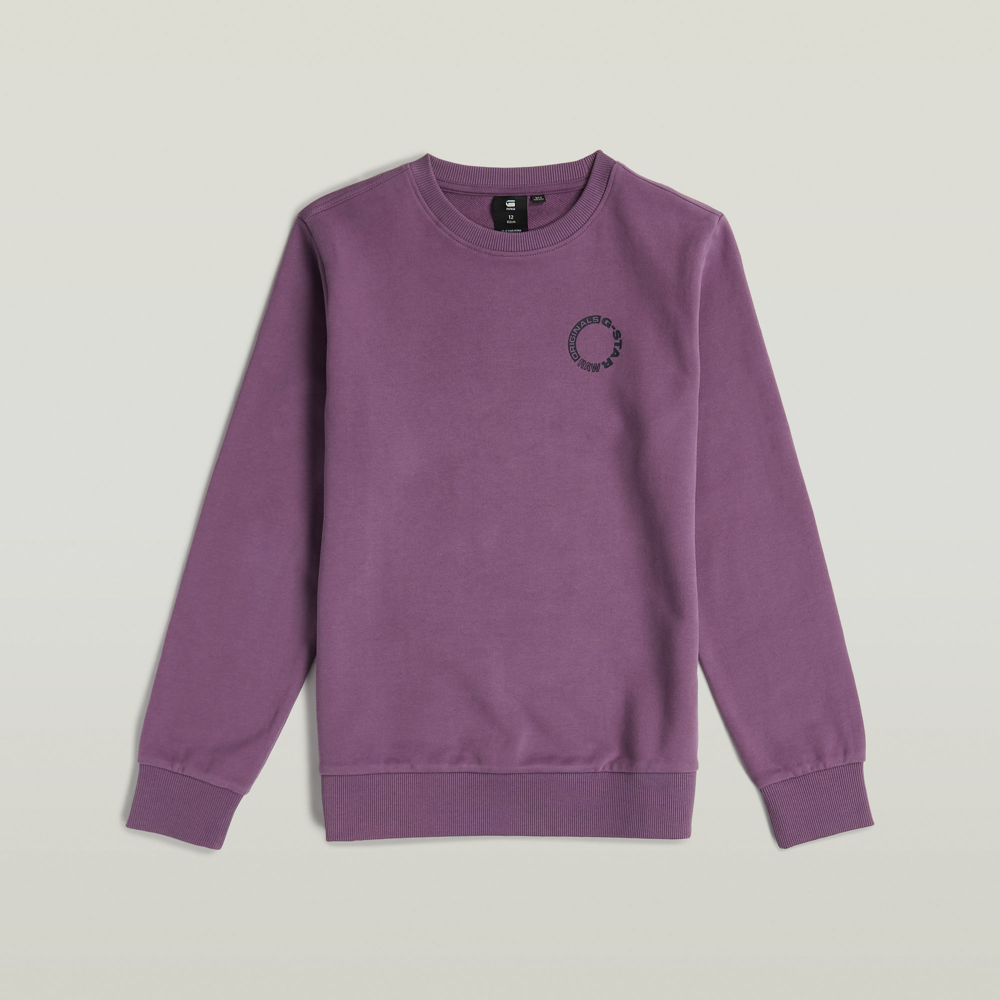 G-Star RAW Jongens Sweater Unbrushed Paars jongens