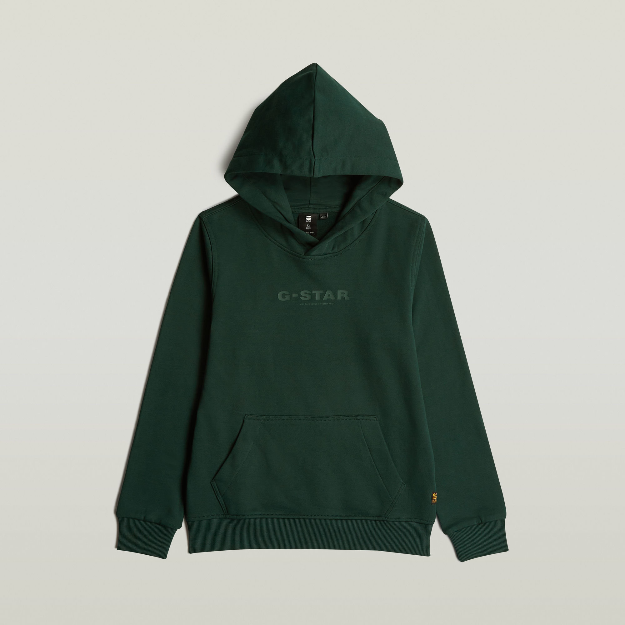 G-Star RAW Jongens Hoodie Brushed Groen jongens