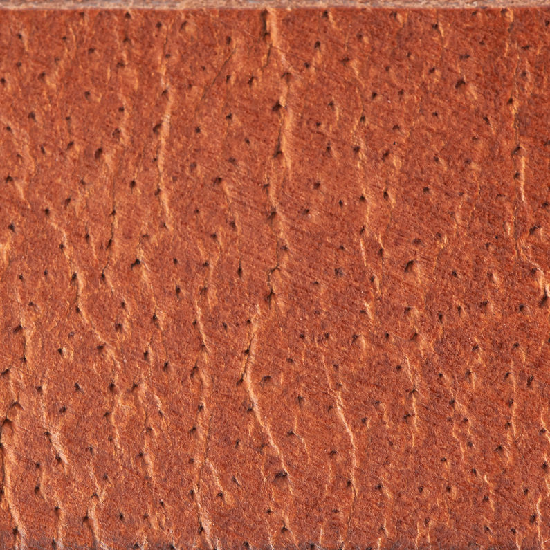 G-STAR® Dorala Pin Belt Brown fabric shot