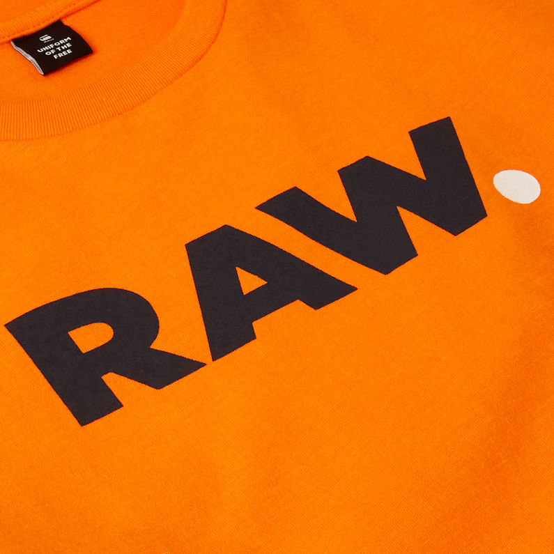 G-Star RAW® Camiseta Graphic Rojo detail shot