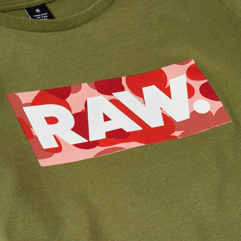 G-Star RAW® Graphic T-Shirt Green detail shot