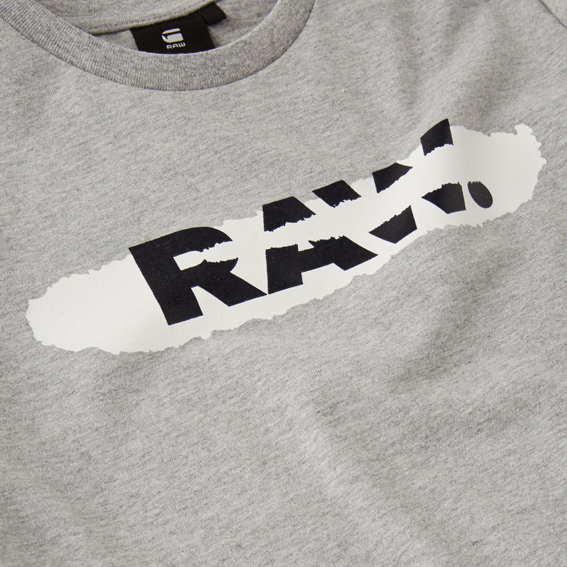 G-Star RAW® Camiseta Graphic Gris