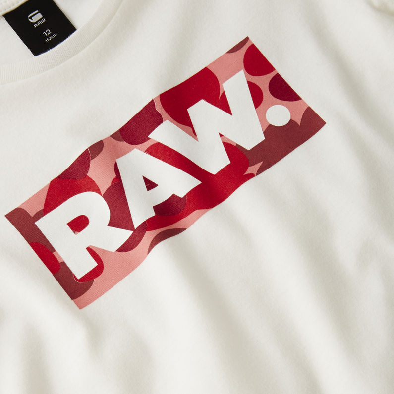 G-Star RAW® T-Shirt Graphic Beige