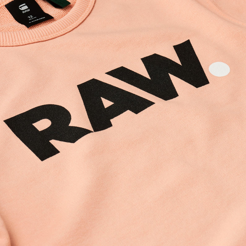 G-Star RAW® Sudadera Rosa detail shot