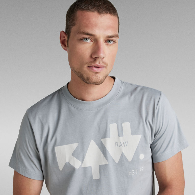 G-Star RAW® RAW Arrow T-Shirt Grau