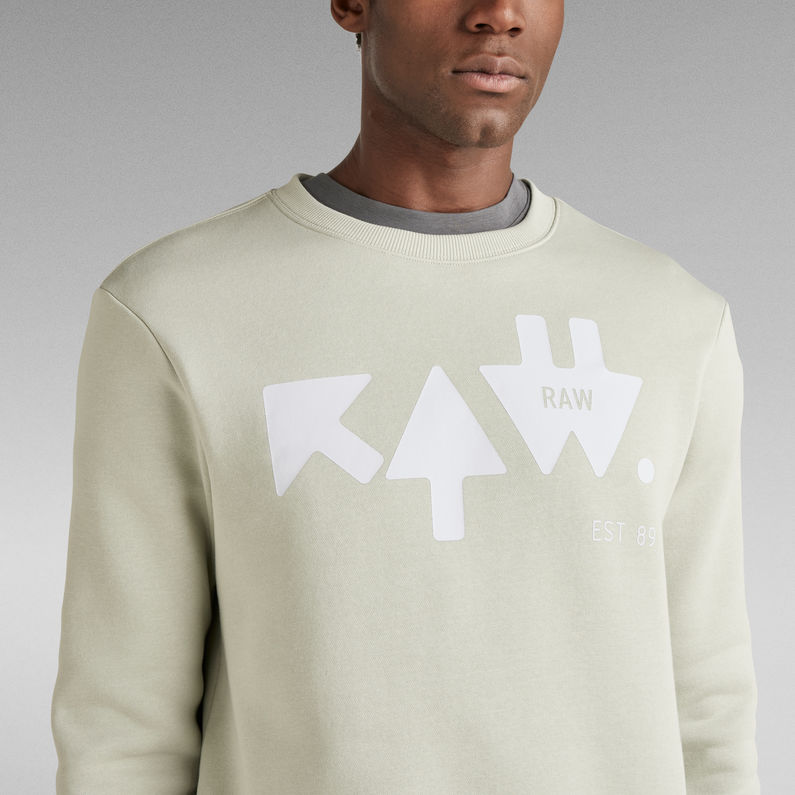 G-STAR® Sudadera RAW Arrow Gris