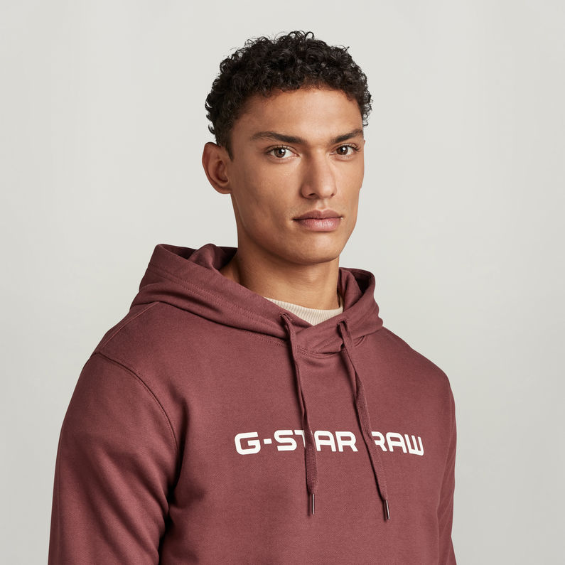 G-STAR® Sweat à capuche Graphic Core Brun