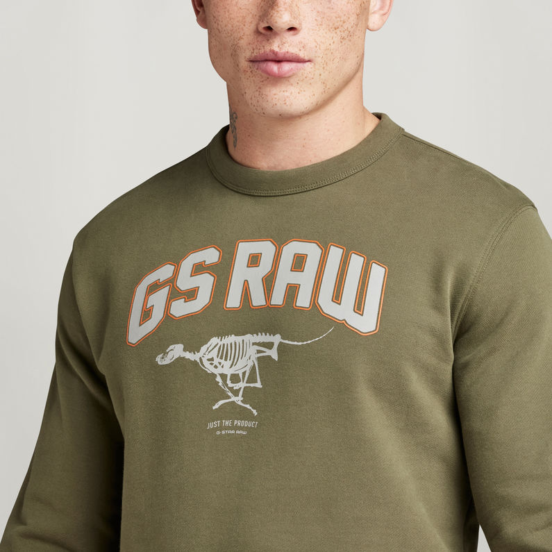 g-star-raw-sweat-skeleton-dog-graphic-vert