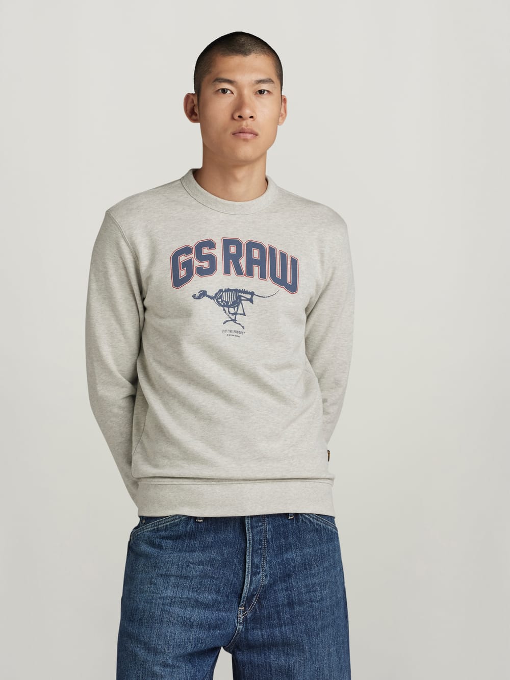 Men s Hoodies Sweatshirts Zip Hoodies G Star RAW AU